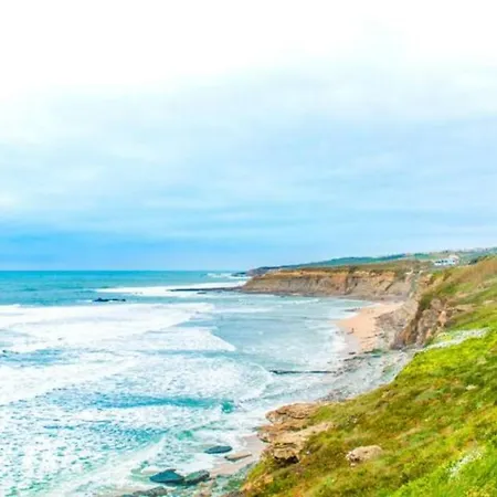 Parrot House Apartman