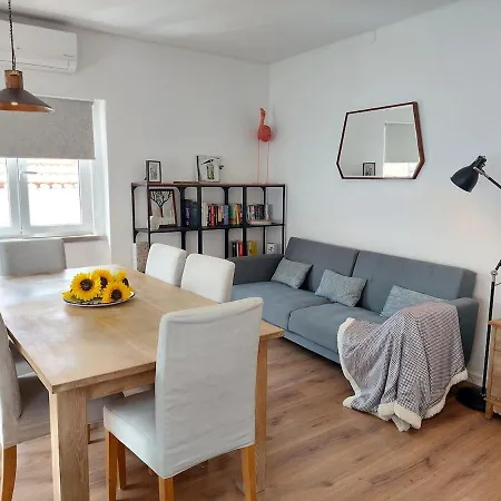 Apartment Parrot House
