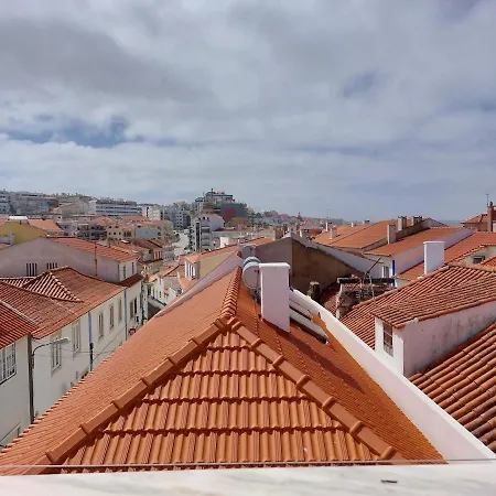 Parrot House Apartman