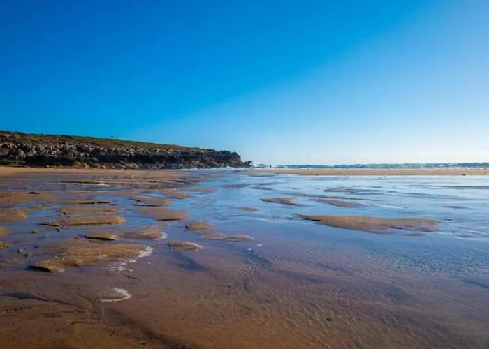 Parrot House * 埃里塞拉